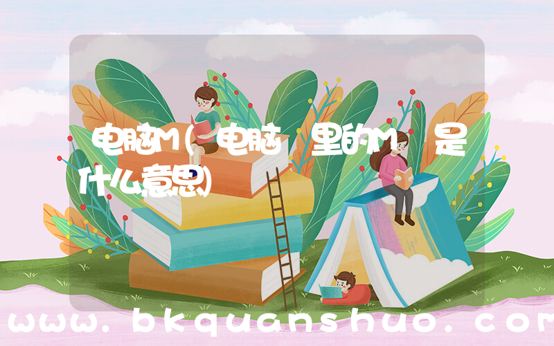 电脑M(电脑 里的M 是什么意思)